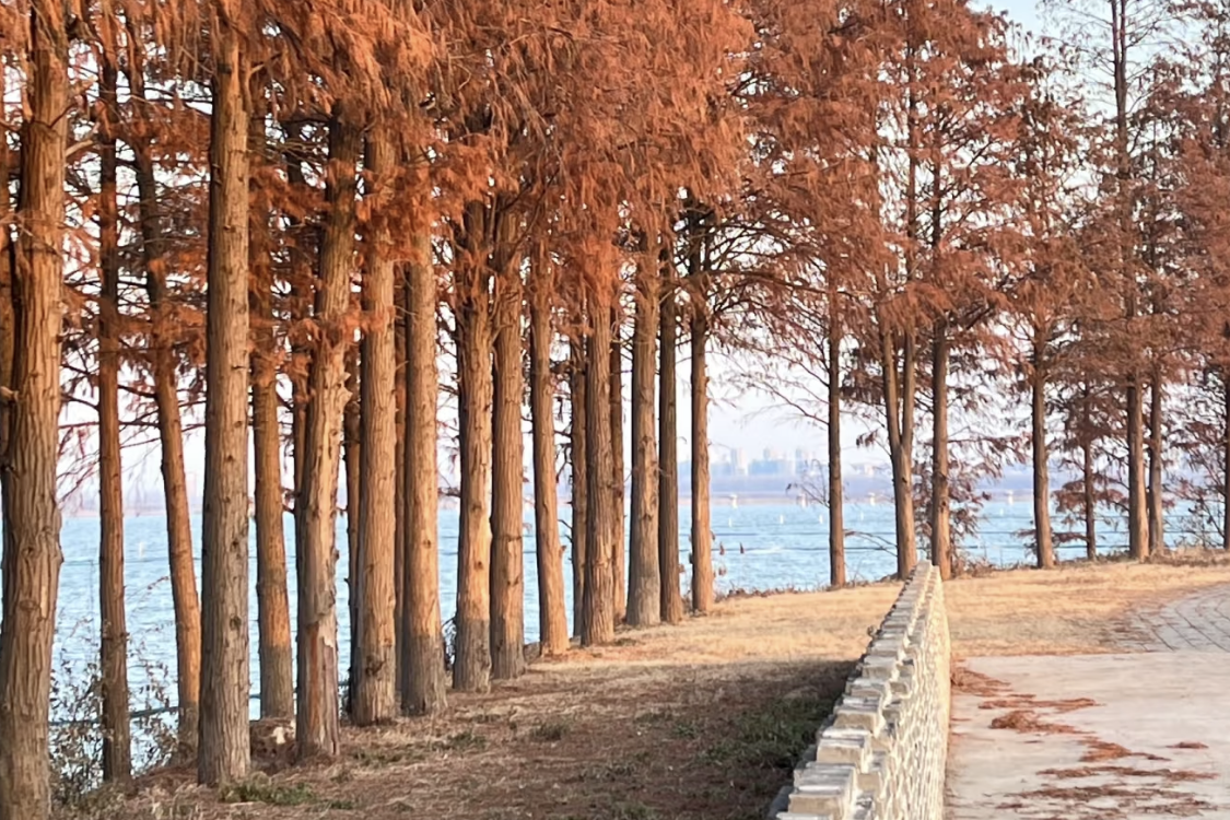 Tuo Lake Wetland